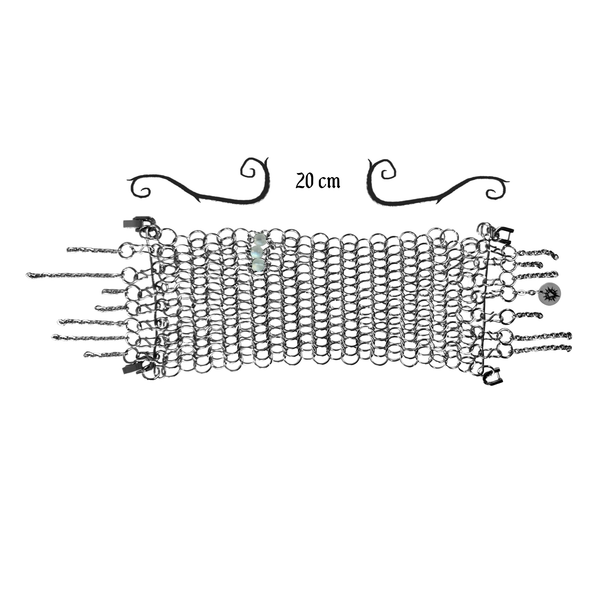 ACC08 Audentis Fortuna Iuvat