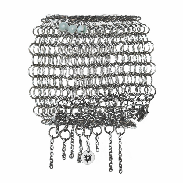 ACC08 Audentis Fortuna Iuvat