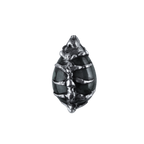 Escoliosis
